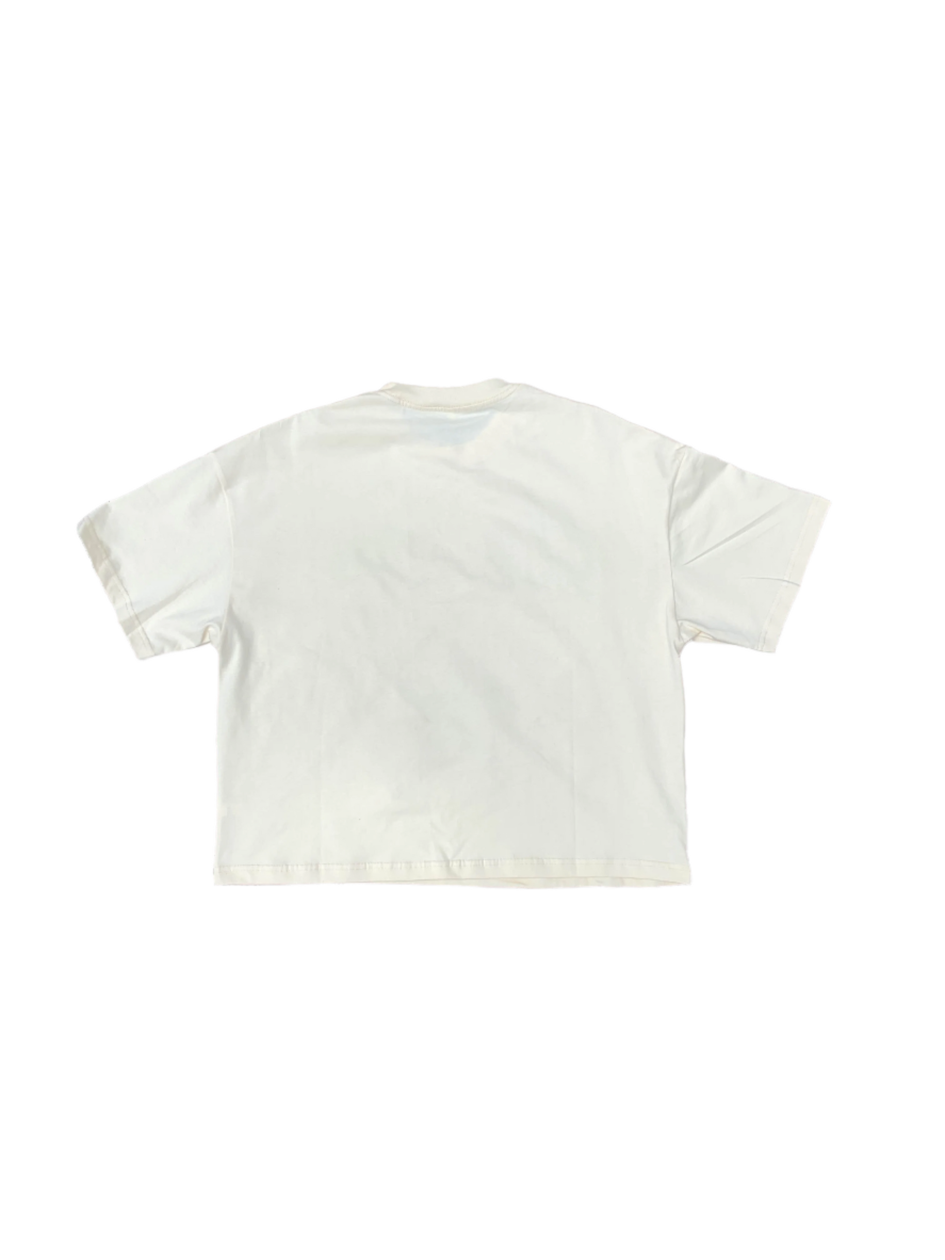 Fly1ng Star Shirt